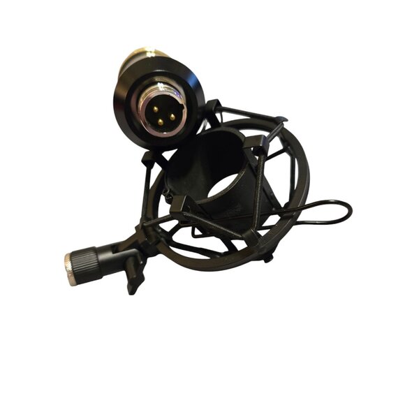 Professional Condenser NW-800 Gold Microphone Shock Mount Pop‎ Filter - Picture 5 of 7